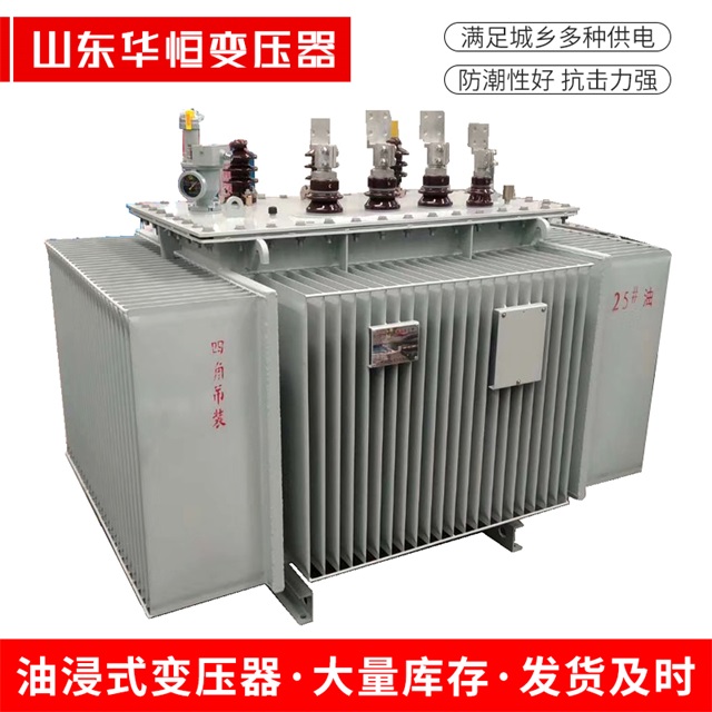 S13-10000/35普格普格普格电力变压器厂家