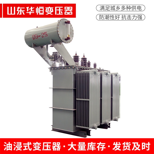 S11-10000/35普格普格普格电力变压器厂家