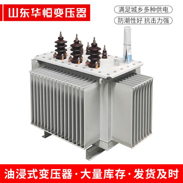 S11-10000/35普格普格普格电力变压器价格
